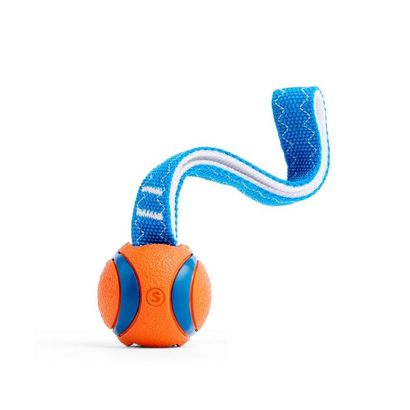 Chuckit! Ultra Tug Dog Toy, Small Fetch and Dog Ball Tug Toy for Dogs 0-20 Pounds - Image 4